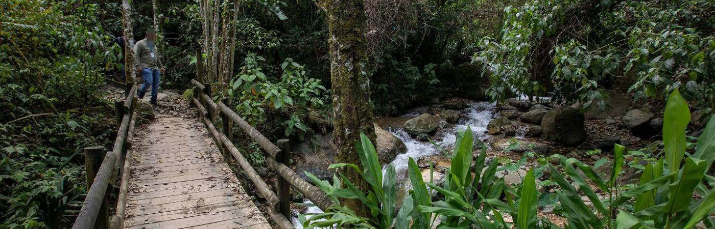 Un susto se llevaron ocho senderistas que este martes terminaron perdidos en el Alto del Romeral. FOTO: EDWIN BUSTAMANTE RESTREPO - ARCHIVO