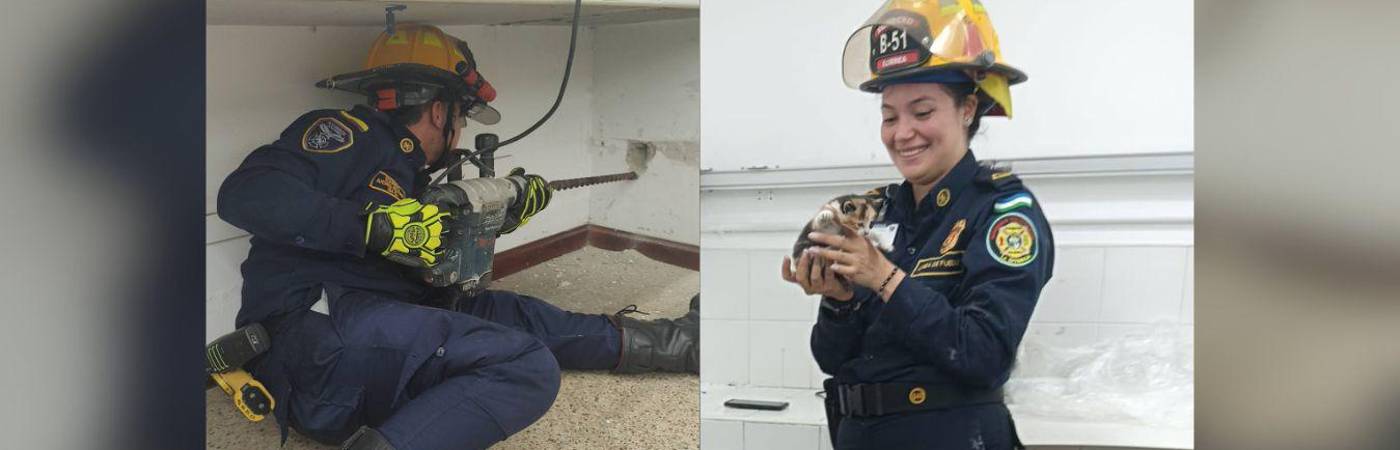 La gata llevaba tres días atrapada en el conducto. FOTOS: FACEBOOK BOMBEROS LA ESTRELLA