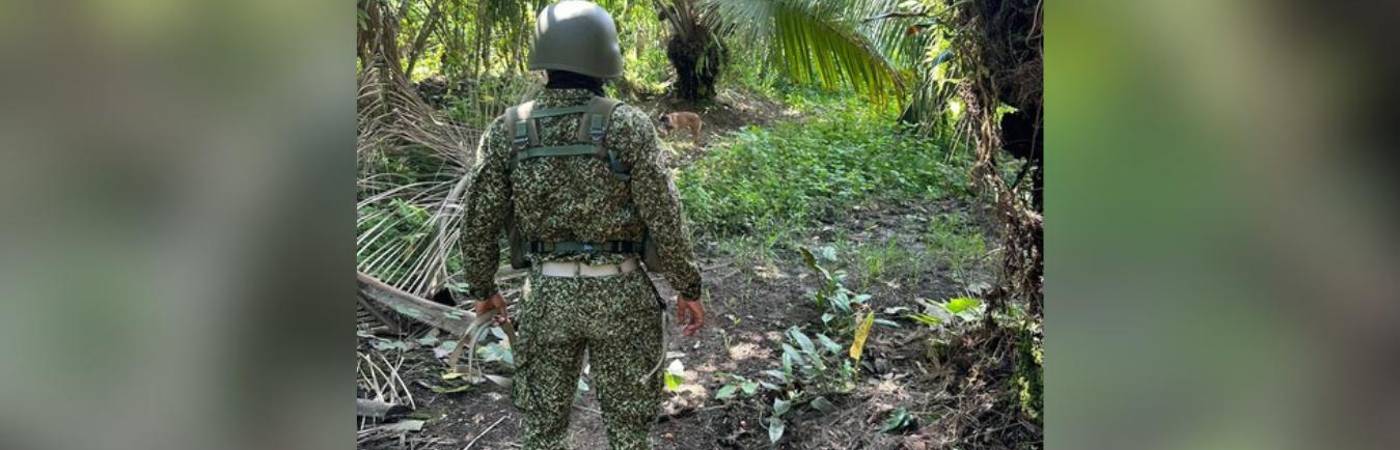 El Ejército llevará a cabo varios operativos para dar con los criminales. FOTO: COLPRENSA