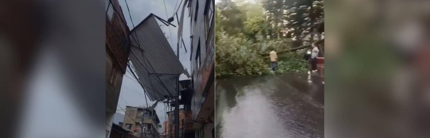 Uno de los techos desprendidos y uno de los árboles caídos en Bello. FOTOS: CAPTURA DE VIDEO DENUNCIAS ANTIOQUIA