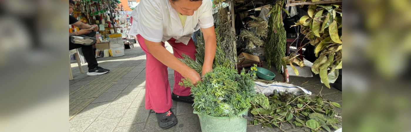 Venta de ruda en el Centro de Medellín./ FOTO: JAIDER ESCOBAR