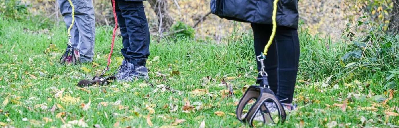 Práctica del Hoggy Doggy. FOTO: TOMADA DE EL SIGLO DE TORREÓN