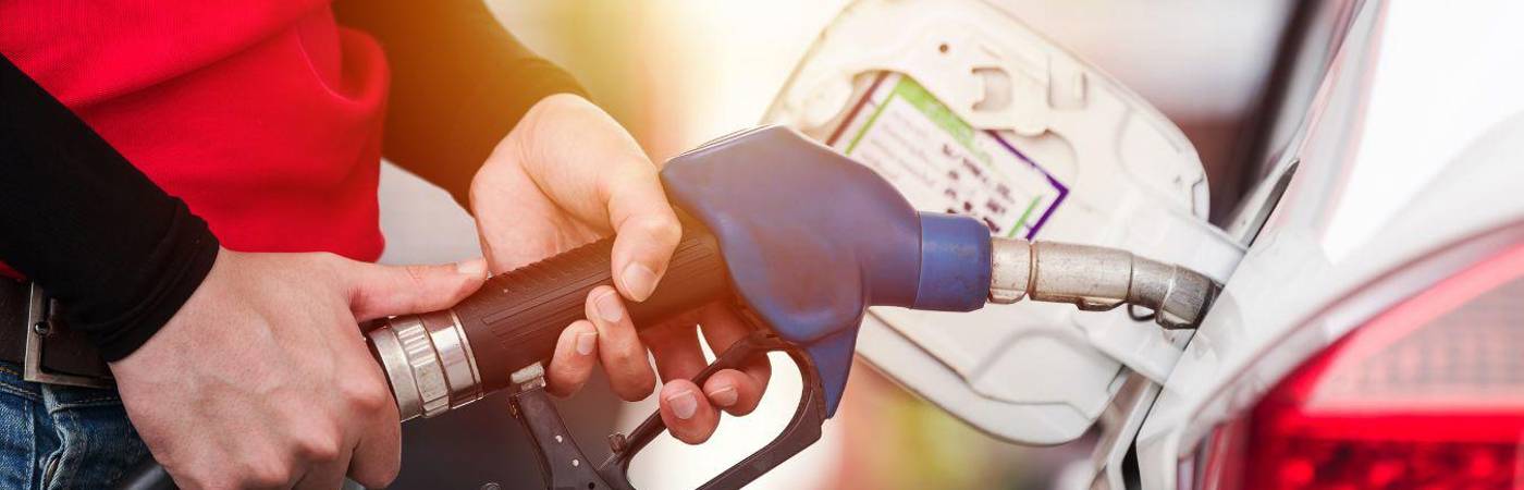 Aproveche estas convocatorias para que se presente y consiga el empleo que tanto busca. / FOTO: CANVA