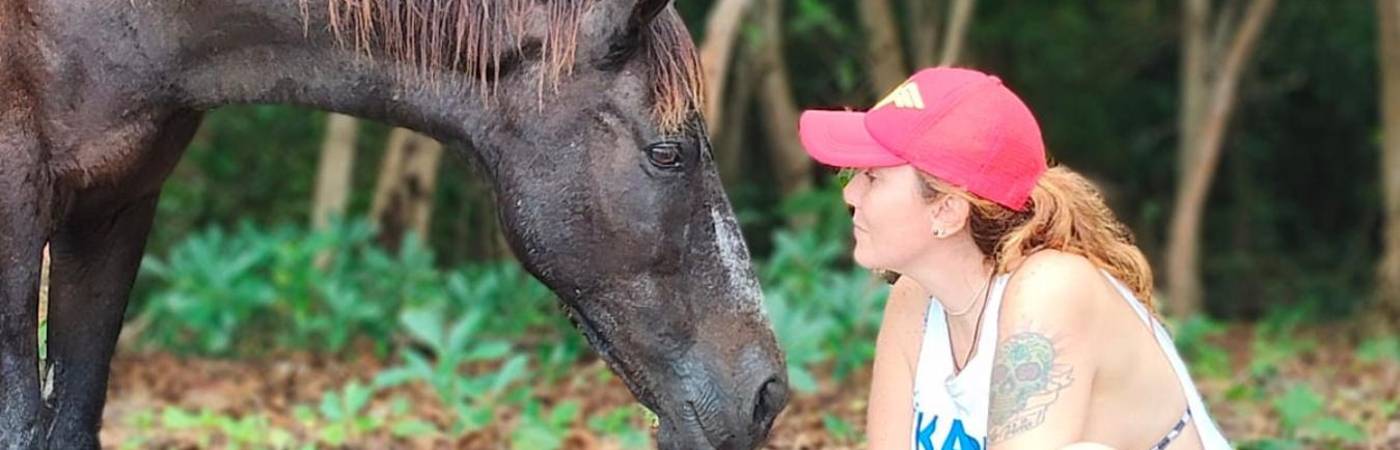 Aunque el plan era adoptar solamente una yegua, decidieron darle la oportunidad también a Orión, un macho con historial de maltrato. FOTO: CORTESÍA