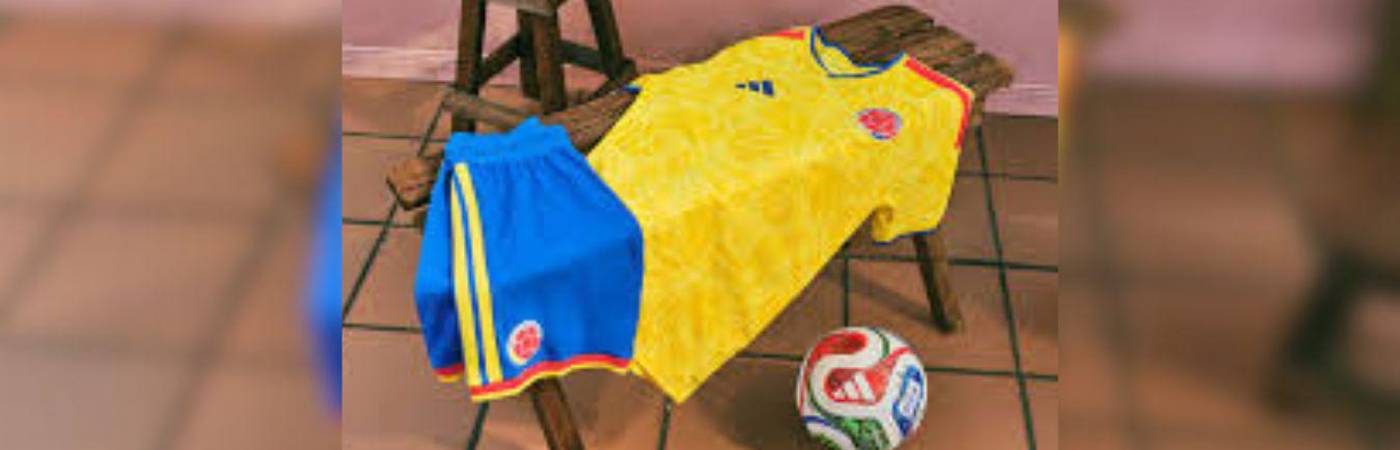 En 2 semanas sería presentado el uniforme oficial de la Selección Colombia para el Mundial. FOTO: FCF.