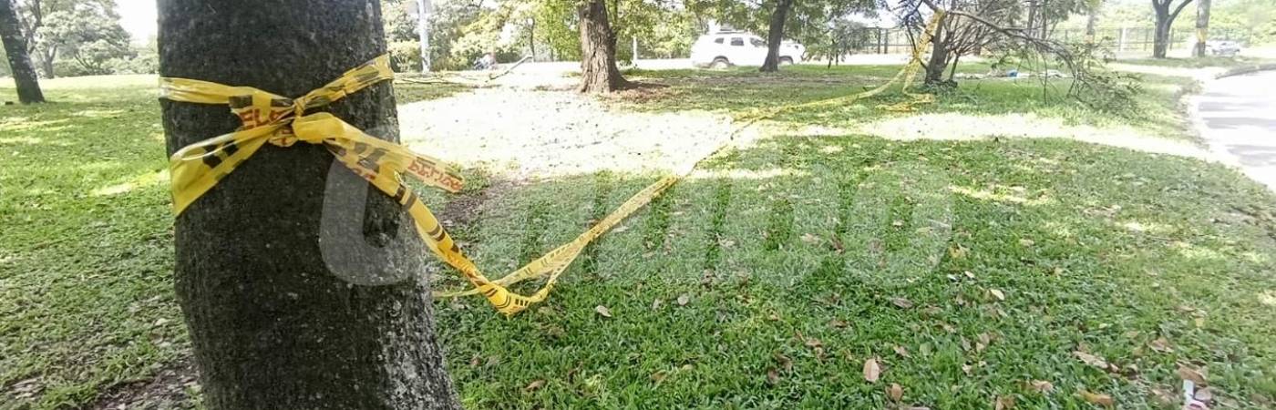 Zona verde donde encontraron apuñalado a Francisco por el barrio Colón de La Candelaria. /FOTO: ALEJANDRA MORALES