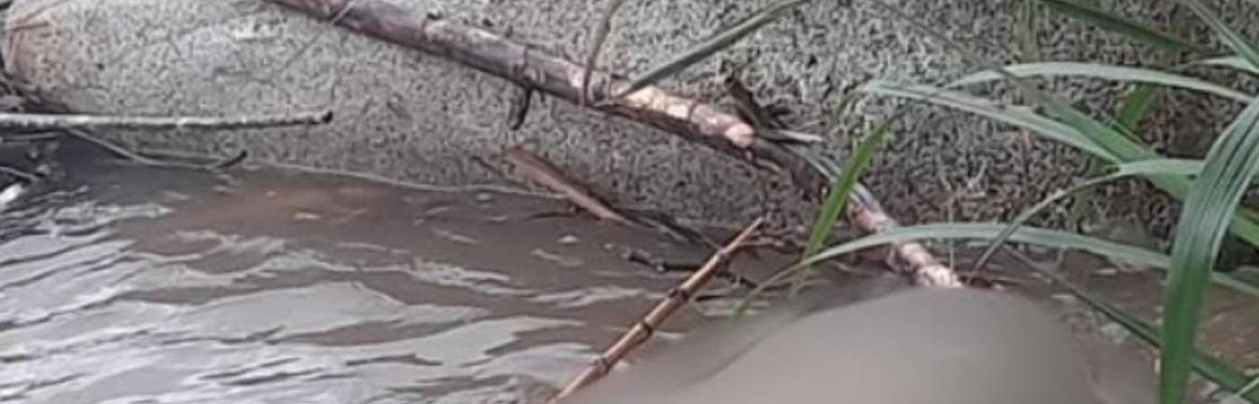 Sitio donde se encontró el cuerpo. FOTO: TOMADO DE CONEXIÓN SUR