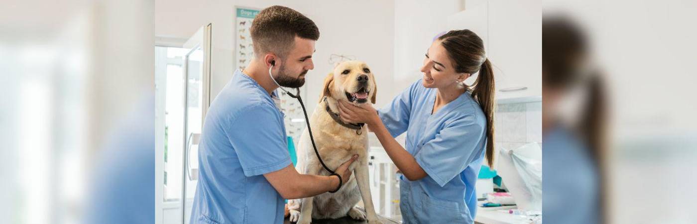 Revise las vacantes disponibles para este cargo en Medellín y otros municipios de Antioquia, y aplique. / FOTO: CANVA