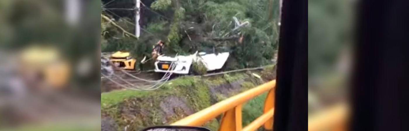 Por las fuertes lluvias, los árboles se desplomaron. FOTO: CAPTURA DE VIDEO IG @guardianesantioquiaoficial