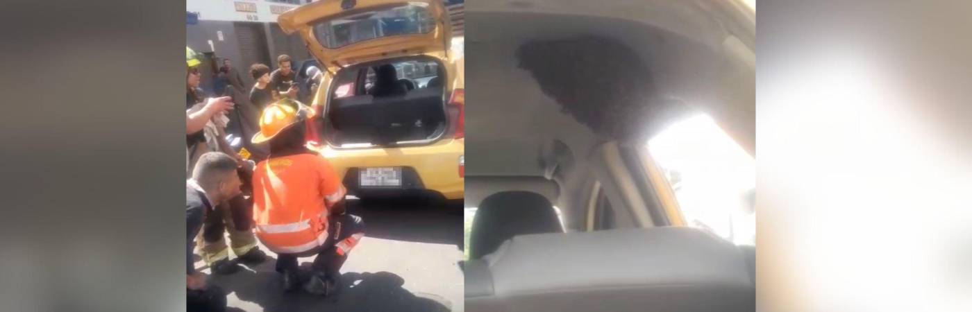 Panal de abejas fue encontrado en taxi de Medellín. FOTO: CORTESÍA DENUNCIAS ANTIOQUIA