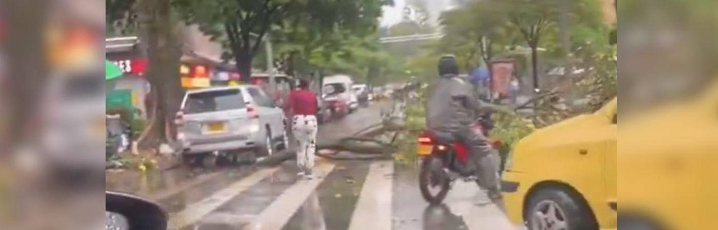 Tremendos aguaceros cayeron en todo el área metropolitana. FOTO: X @GABOPERIODISTA1 