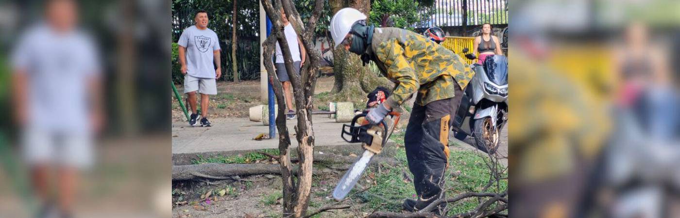 Actualmente, se adelantan los procesos de contratación para llegar a las 3500 personas empleadas con esta estrategia. /FOTO: CORTESÍA ALCALDÍA DE MEDELLÍN