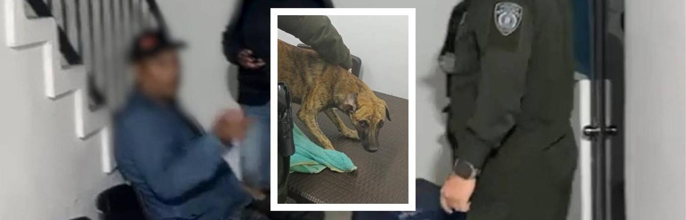 El hombre llegó con el perro, quien se mostraba intimidado. /FOTOS: POLICÍA ANTIOQUIA