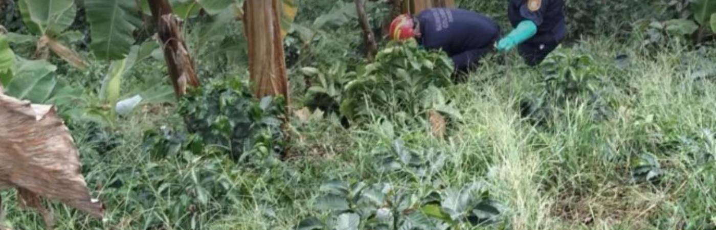 Hallazgo y levantamiento del cuerpo descompuesto en zona rural de Andes. FOTO: TOMADA DE CONEXIÓN SUR