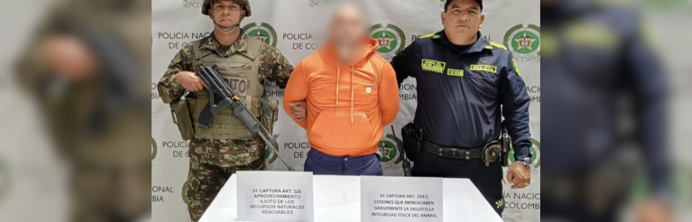 Capturado por tráfico ilegal de fauna silvestre en San Vicente Ferrer. /FOTO: FISCALÍA