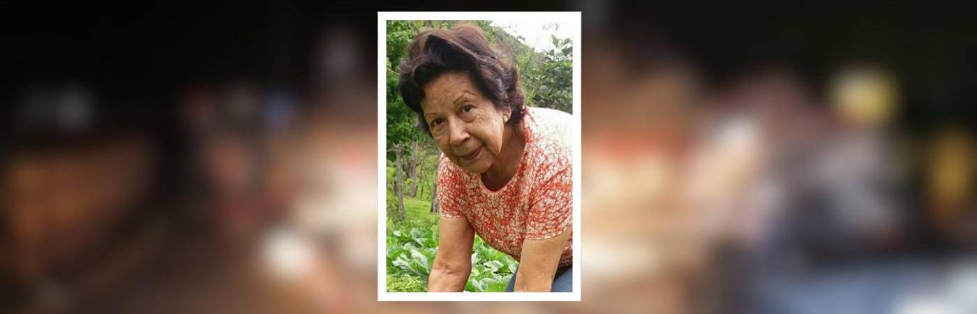 La magnitud del accidente quedó registrado en video. FOTO: CORTESÍA