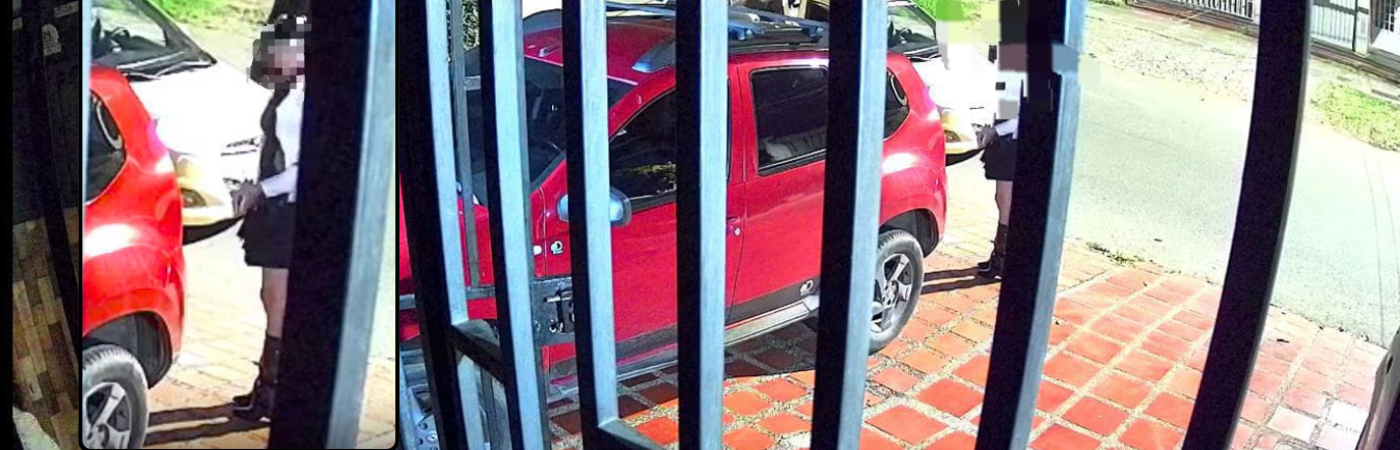 Cámara de seguridad capta a una de las presuntas responsables./FOTO: CORTESÍA