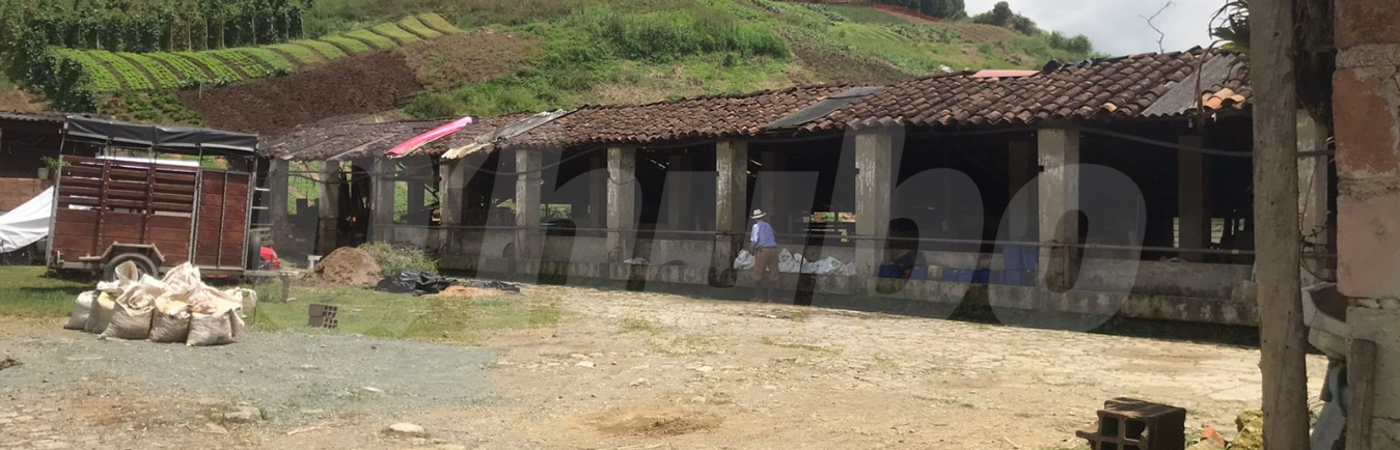 En Caldas: Óscar Aníbal buscó refugio en caballeriza pero murió