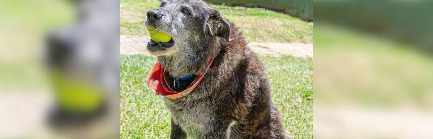 Guarne despidió a Roger. FOTO: INSTAGRAM - INDERGUARNE