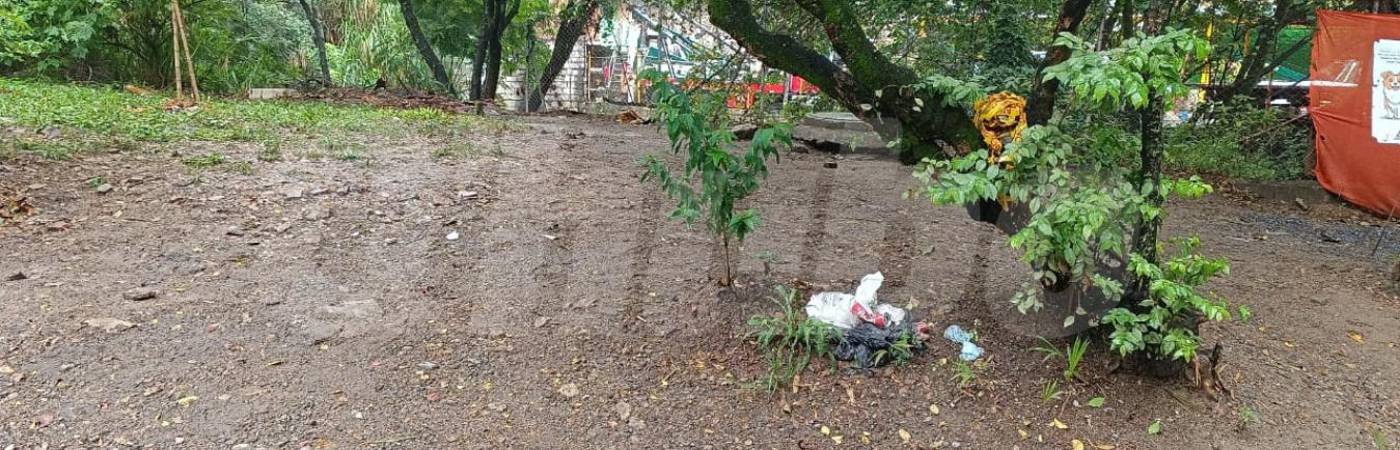 En esta zona se desplomó el sujeto que fue atacado en el barrio Salento. /FOTO: CRISTIAN VÁSQUEZ