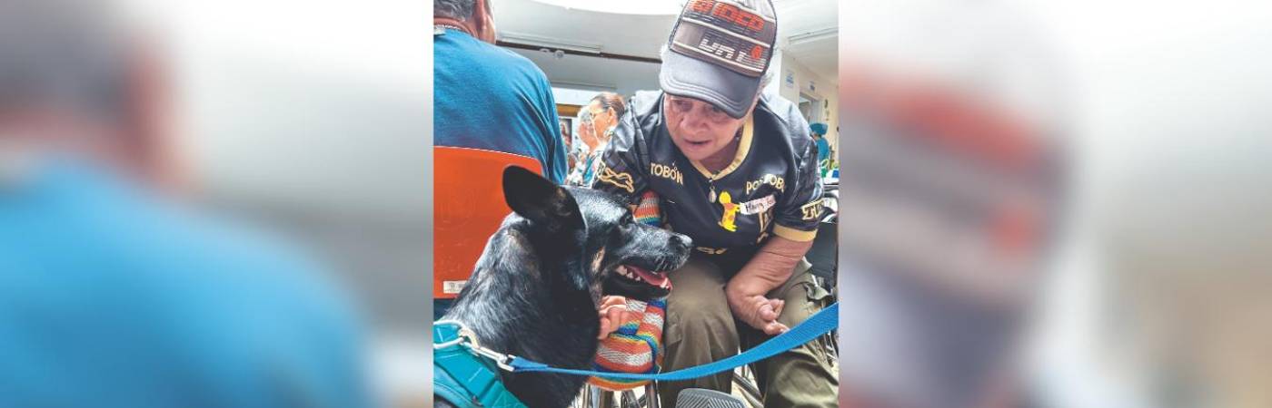 María Feria quisiera estar todo el tiempo con los perritos, ya que en ellos encuentra compañía y el recuerdo de aquellos que tuvo cuando vivía en la calle. FOTO: FAISURY SÁNCHEZ