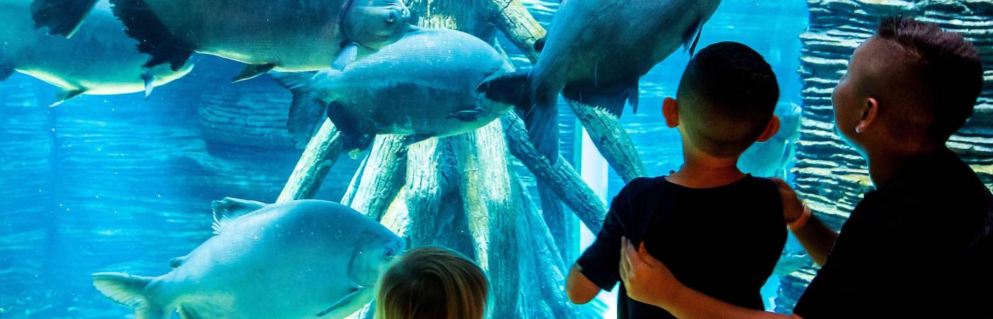 El parque explora es uno de los planes preferidos por la gente. FOTO: EL COLOMBIANO