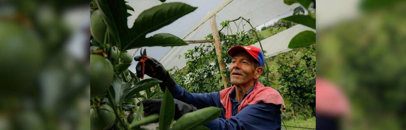 Campesinos, a registrar la hoja de vida para ser instructores del Sena