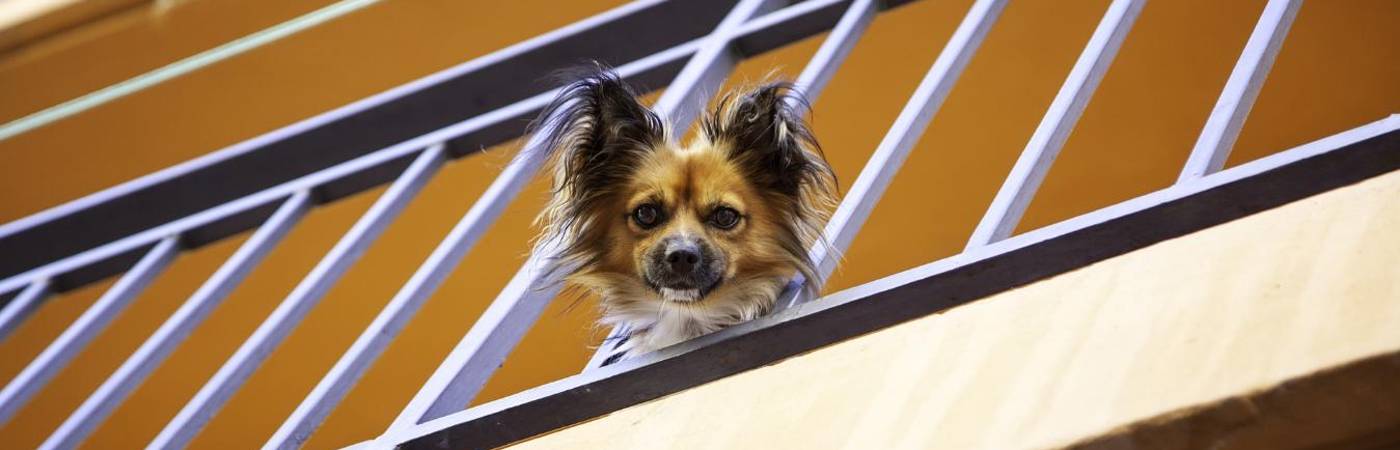 Imagen de referencia para ilustrar la nota. FOTO: CANVA