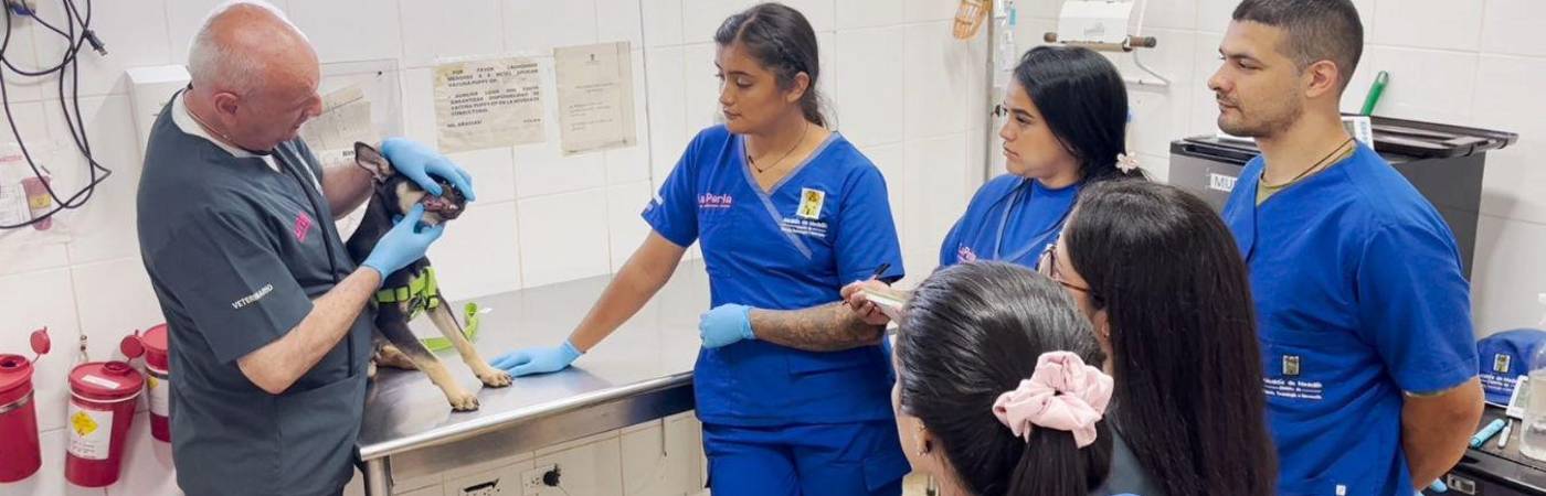 El curso también enseñará cómo preparar un kit básico para mascotas. FOTO: ALCALDÍA DE MEDELLÍN