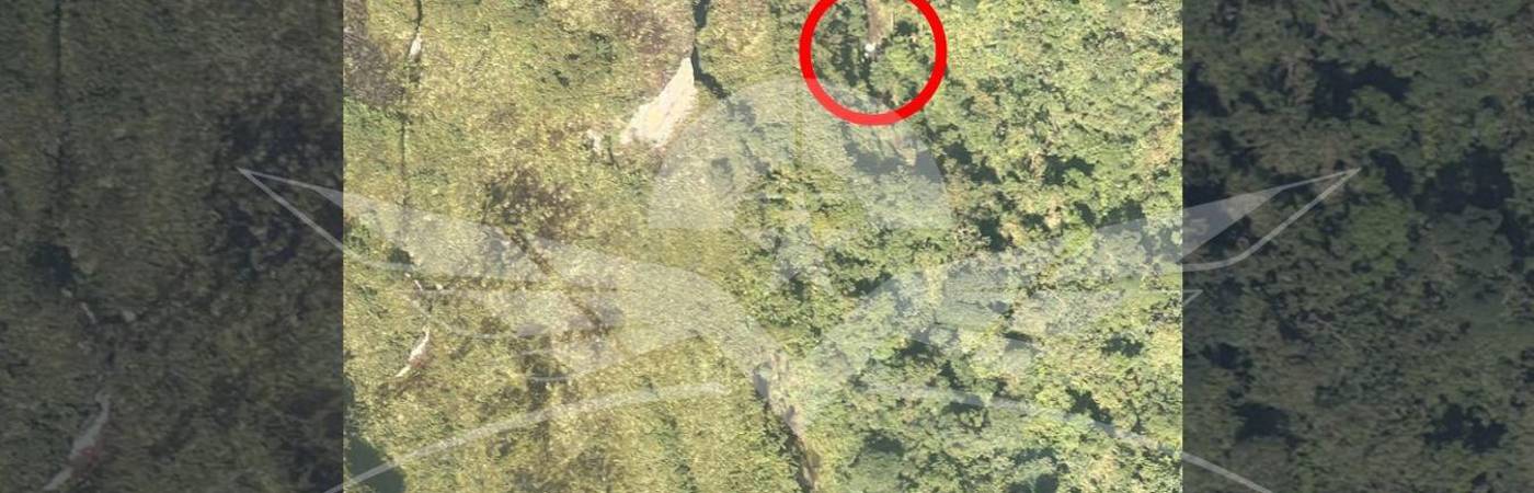 La topografía del terreno y las recientes lluvias han dificultado el acceso al lugar. FOTO: FUERZA AÉREA COLOMBIANA