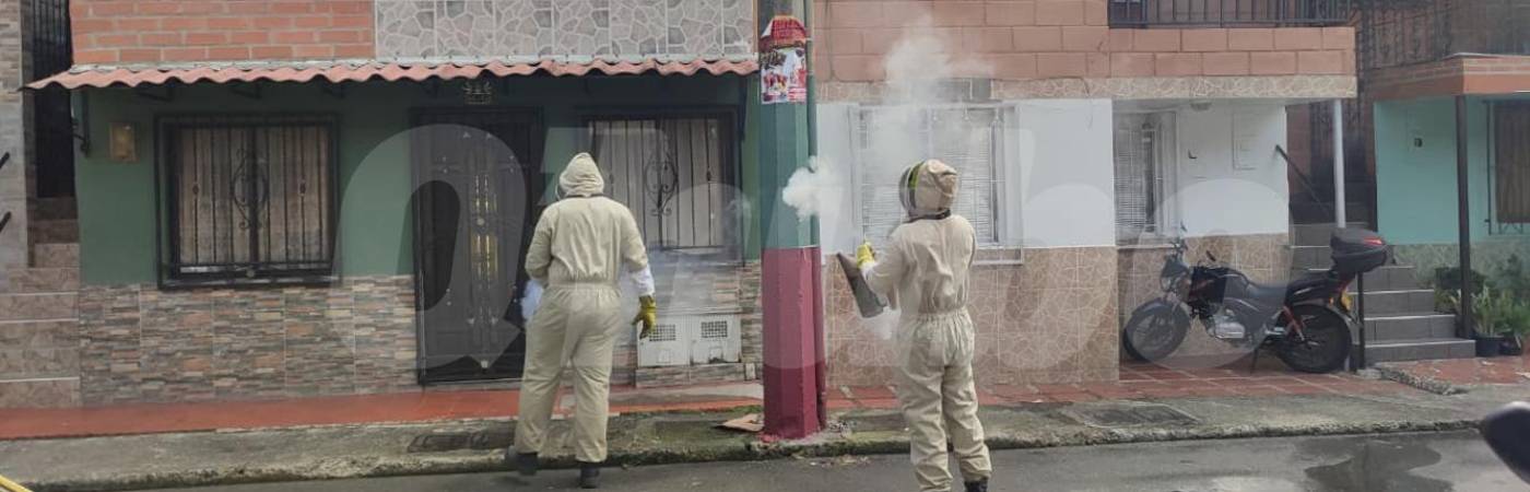 Panal de abejas en poste generó alarma. FOTO: ANDRÉS GARCÍA
