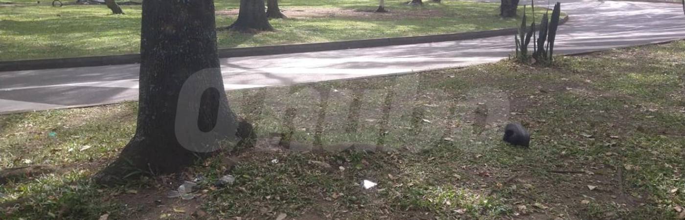 Contra este árbol chocó la víctima para ser trasladada a centro asistencial donde murió. FOTO: GUILLERMO OSPINA MUÑOZ