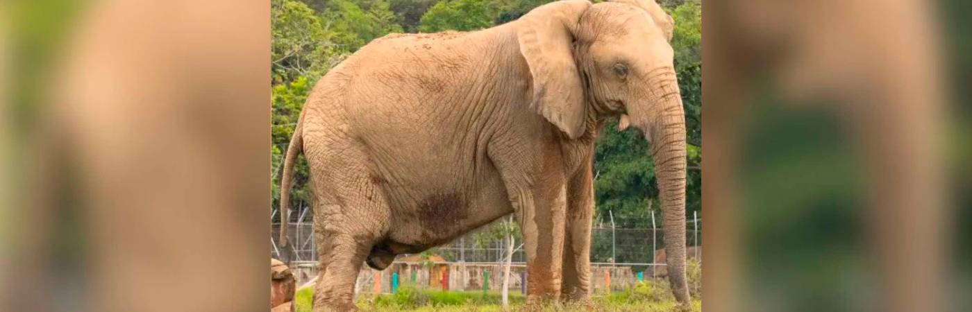 /FOTO: REDES SOCIALES