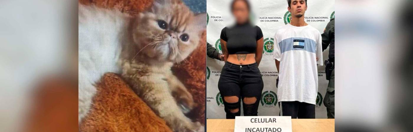 El gato Garfield y los capturados por extorsión. /FOTOS: CORTESÍA
