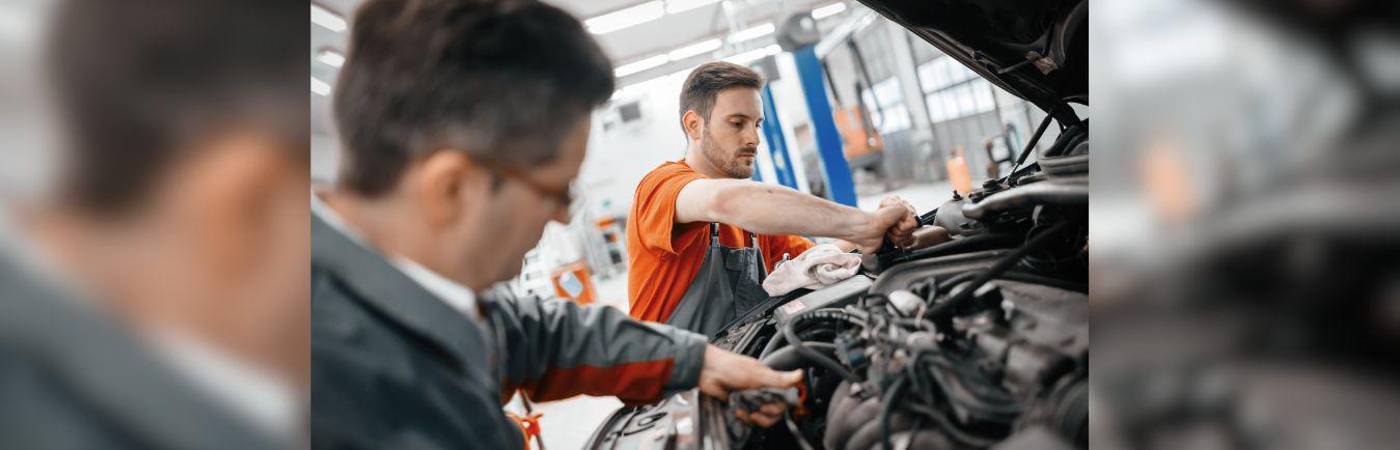 Aproveche estas opciones para que trabaje esta temporada. FOTO: CANVA