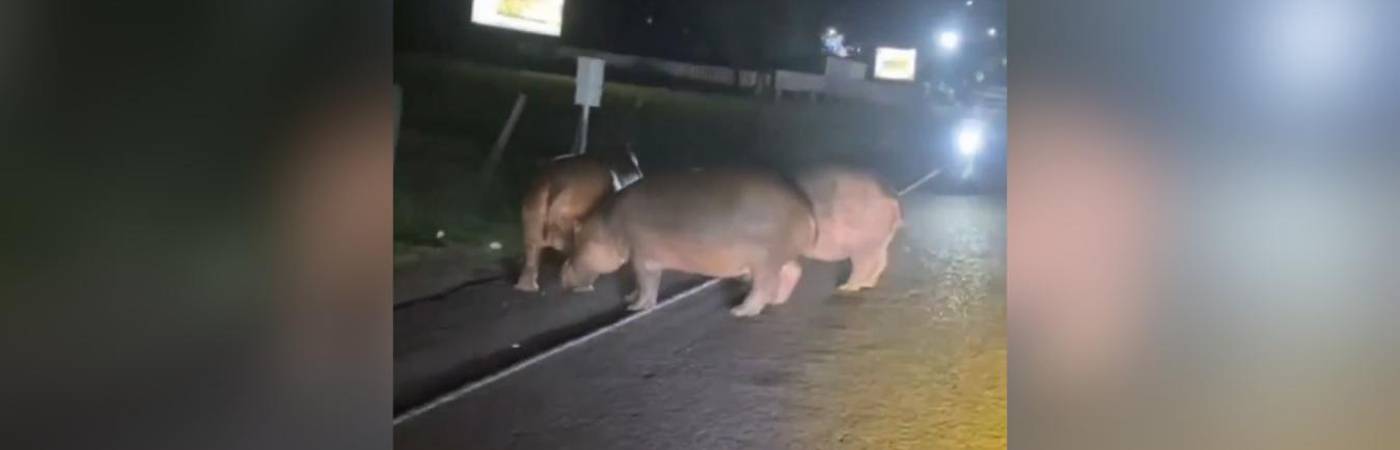 La situación ha generado preocupación. FOTO: COLOMBIA OSCURA