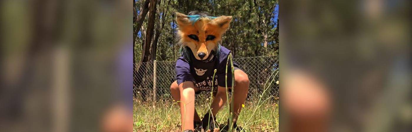 No es un fenómeno reciente, pero suena fuerte en las redes sociales. FOTO: CAPTURA DE TIKTOK @FOX_COR