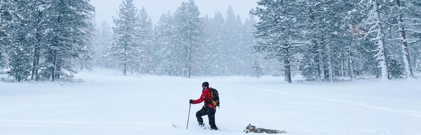 Sierra Nevada de California, lugar donde ocurrió la tragedia. FOTO: GETTY IMAGES