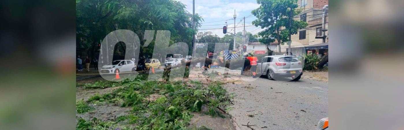 /FOTO: ALEJANDRA MORALES