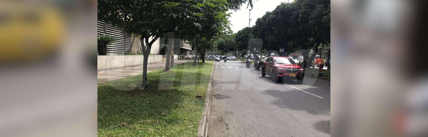 El crimen ocurrió junto a este árbol, donde la víctima estacionó su vehículo mientras almorzaba. / FOTO: LAURA ROSA JIMÉNEZ VALENCIA