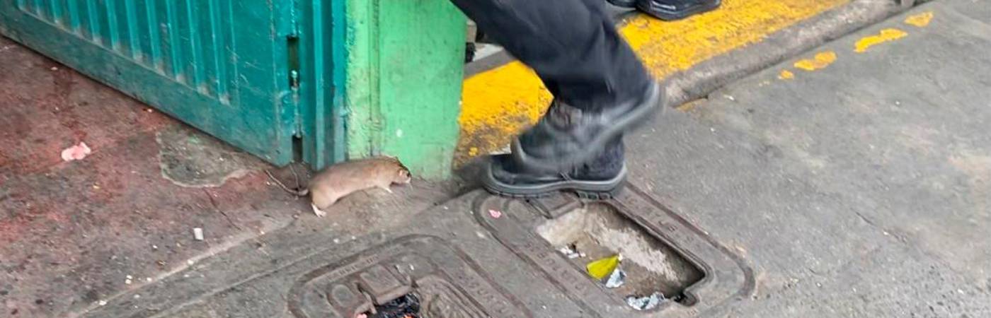 / FOTO: CORTESÍA ALCALDÍA.