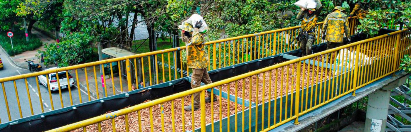 /FOTOS ALCALDÍA DE MEDELLÍN