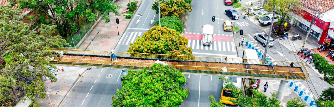 EN IMÁGENES: Medellín reciclará puentes para convertirlos en hogar de fauna silvestre