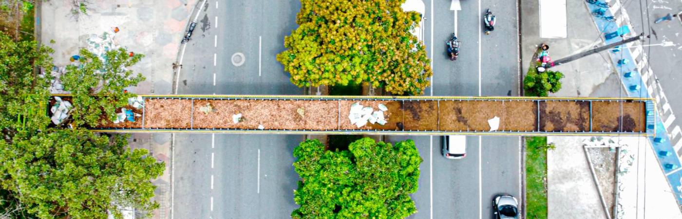 EN IMÁGENES: Medellín reciclará puentes para convertirlos en hogar de fauna silvestre