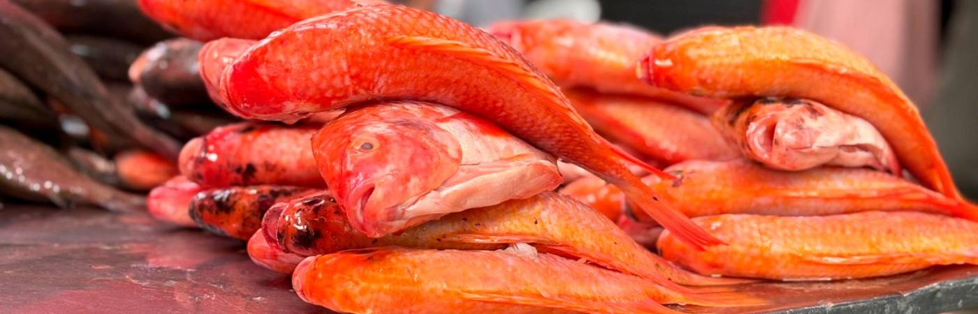 La intervención se realizó en el sector conocido como la calle del pescado. /FOTO: ALCALDÍA DE MEDELLÍN.