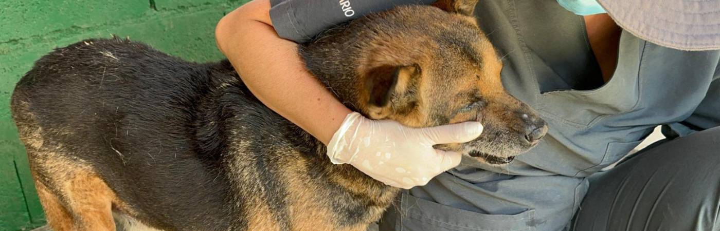 La Perla. / FOTO: ALCALDÍA DE MEDELLÍN