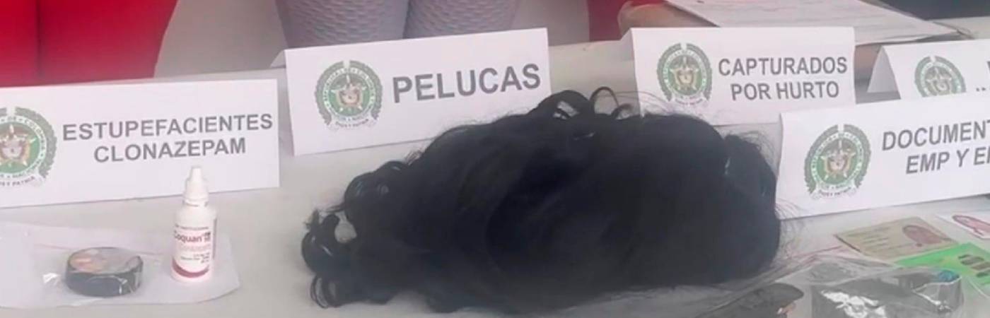 Hasta el pelo le incautaron a las Mamacitas. / FOTO: POLICÍA NACIONAL