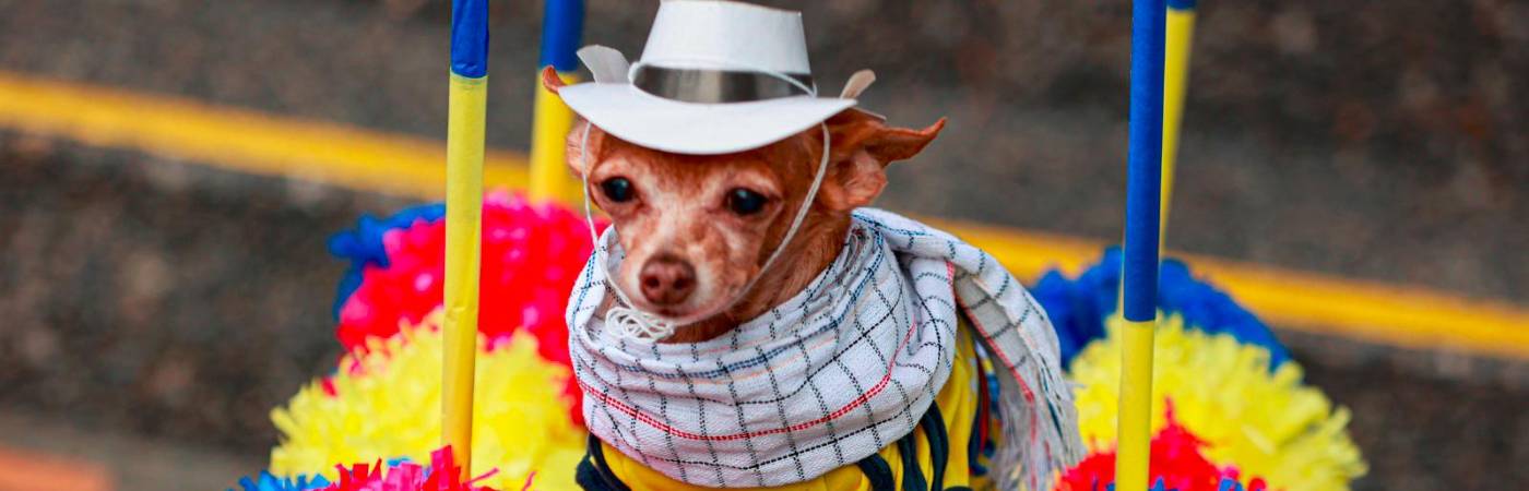 /FOTO: MANUEL SALDARRIAGA