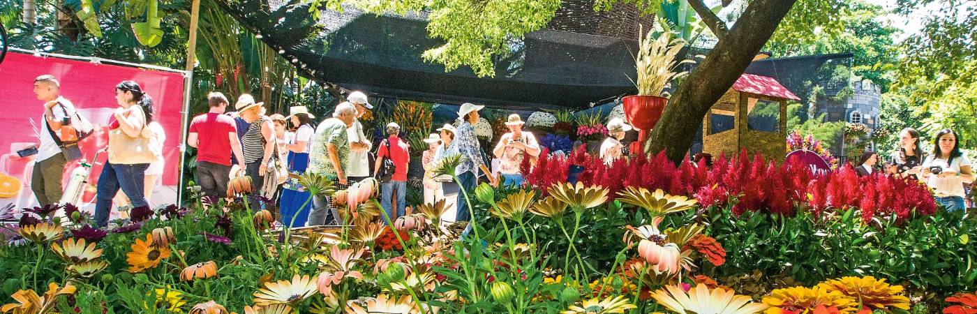 ¡La propia agenda! Parches gratis o económicos pa que se goce la Feria de las Flores