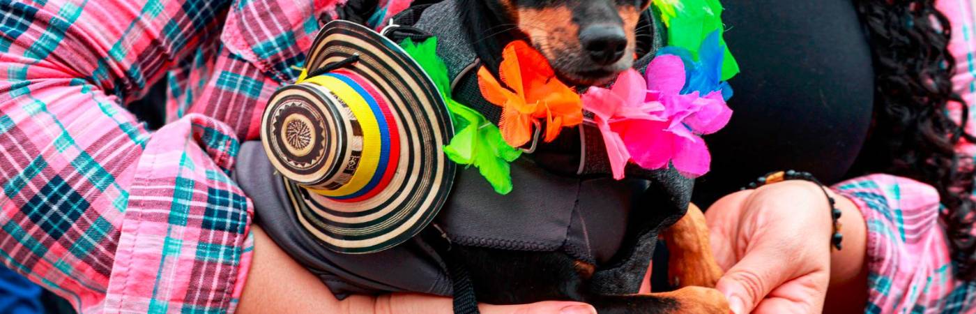 /FOTO: MANUEL SALDARRIAGA